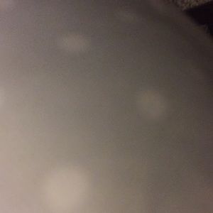 Meet your Posher, Cody